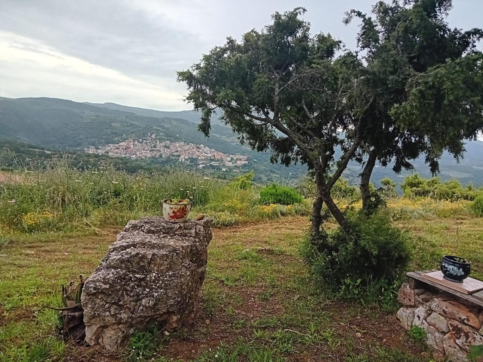 Lugori * Seùlo